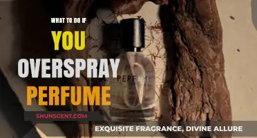 Quick Fixes for Oversprayed Perfume: Regain Balance and Freshness Instantly