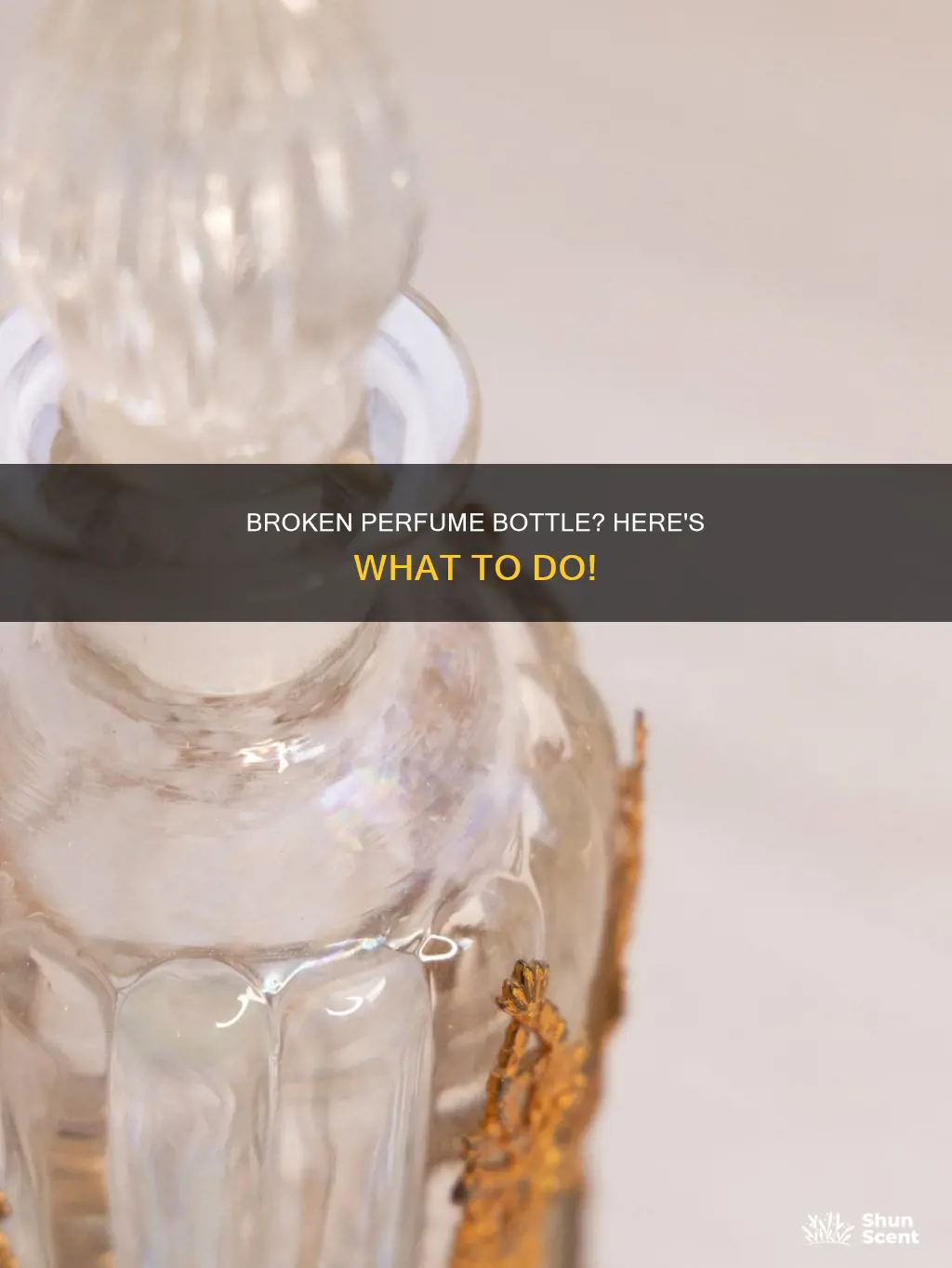 what to do if your perfume bottle breaks