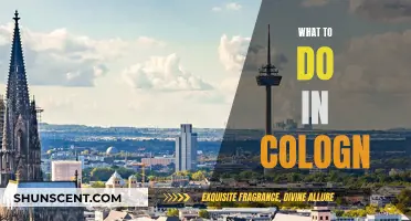 Exploring Cologne: A Cultural and Historical Journey