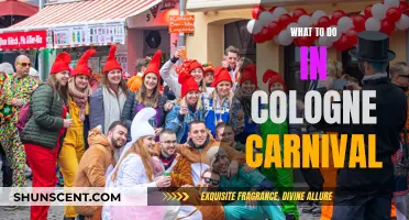 Explore Cologne Carnival: Traditions, Parades, and Parties