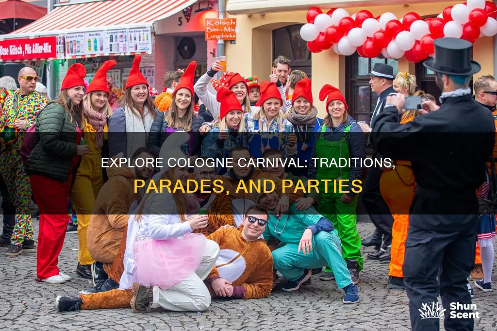 what to do in cologne carnival