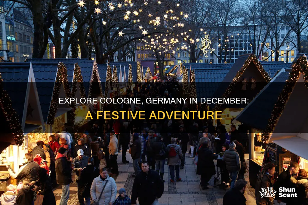 what to do in cologne germany in december