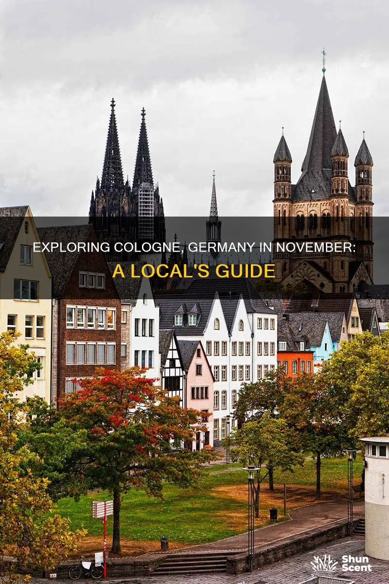 what to do in cologne germany in november