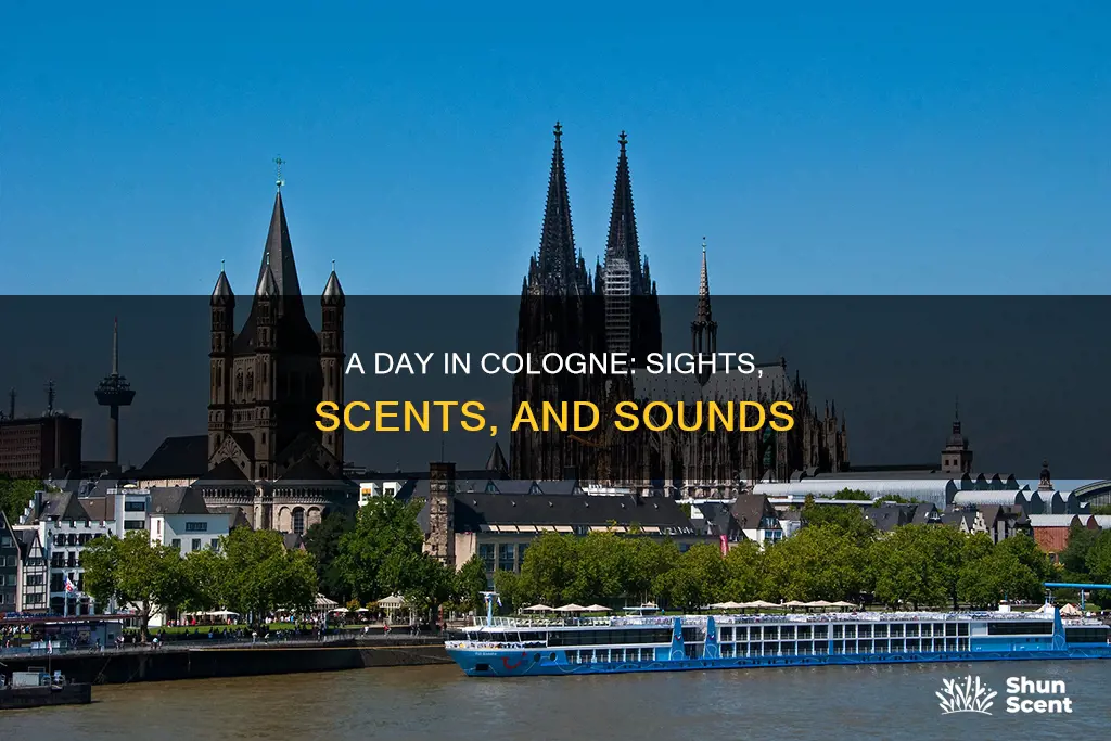 what to do in cologne in one day