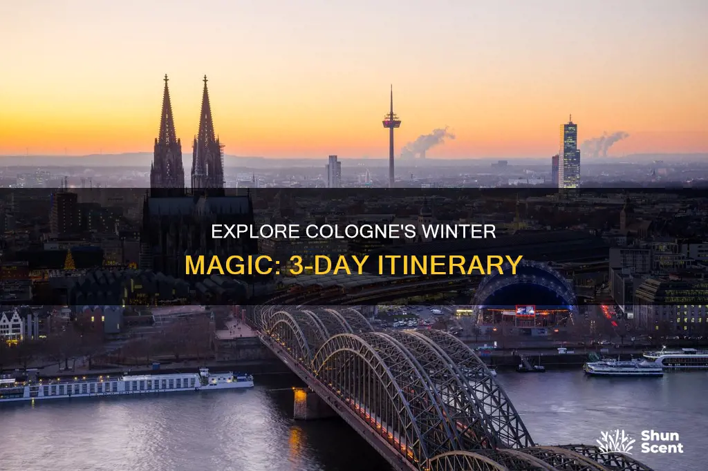 what to do in cologne in winter