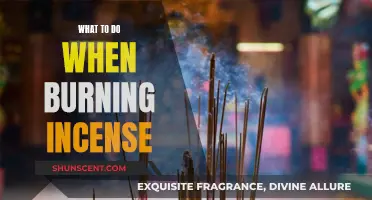 Incense Burning: A Beginner's Guide to Getting Started