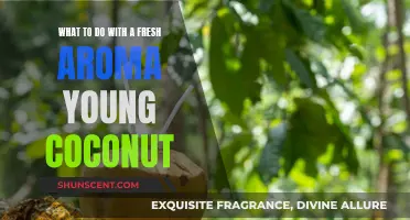 Unlocking the Young Coconut: Fresh Aroma, Delicious Possibilities