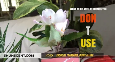 Creative Ways to Repurpose Unused Perfumes: Tips and Ideas