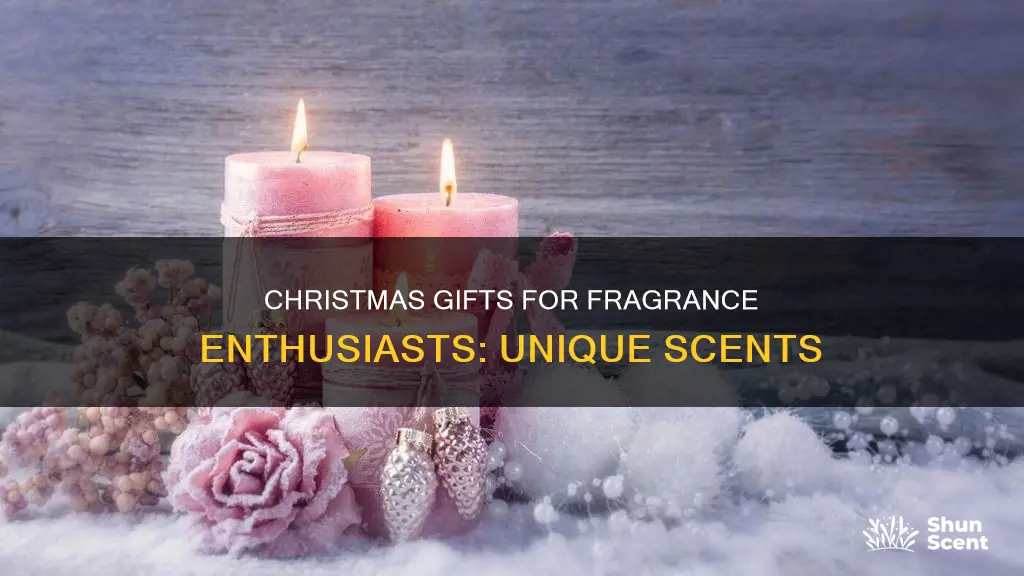 what to get someone for christmas if they like fragrances