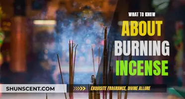 Incense Burning: A Beginner's Guide to Getting Started