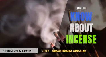 Incense 101: A Beginner's Guide to Fragrant Smoke