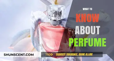 Essential Guide: Understanding Perfume Notes, Types, and Application Tips