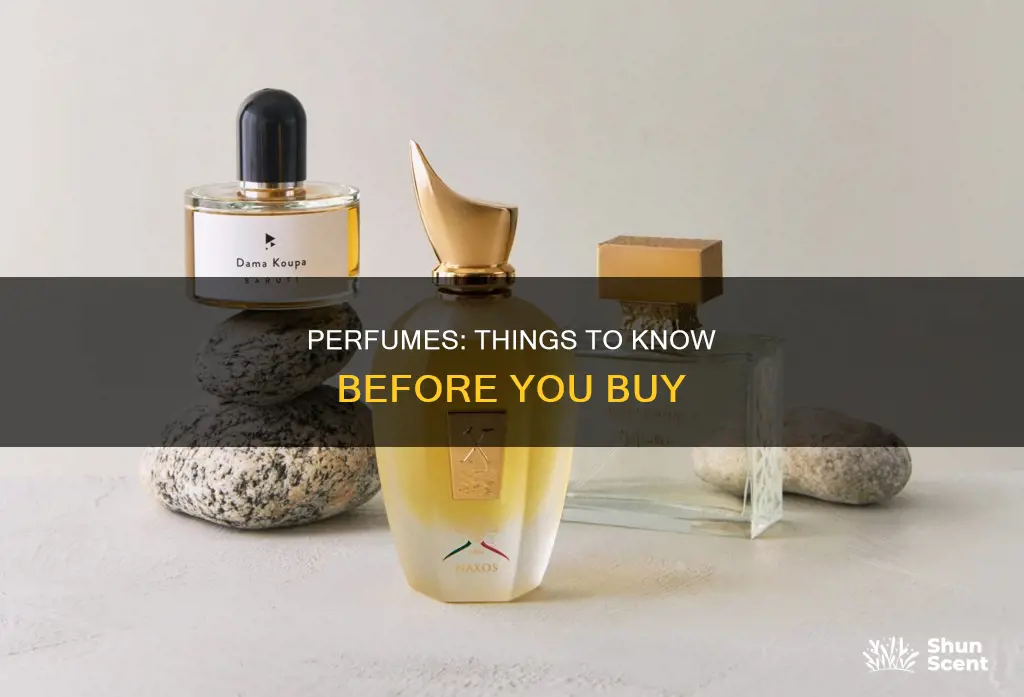 what to know before buying perfume