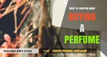 Perfume Buying Guide: Key Factors to Consider