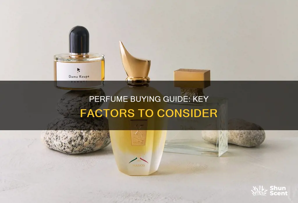 what to look for when buying a perfume