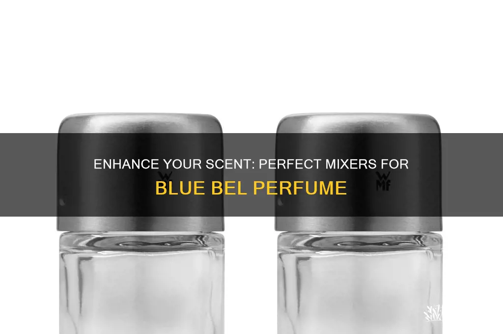 what to mix with blue bel perfume l