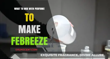 DIY Febreze: Enhancing Your Perfume with a Twist