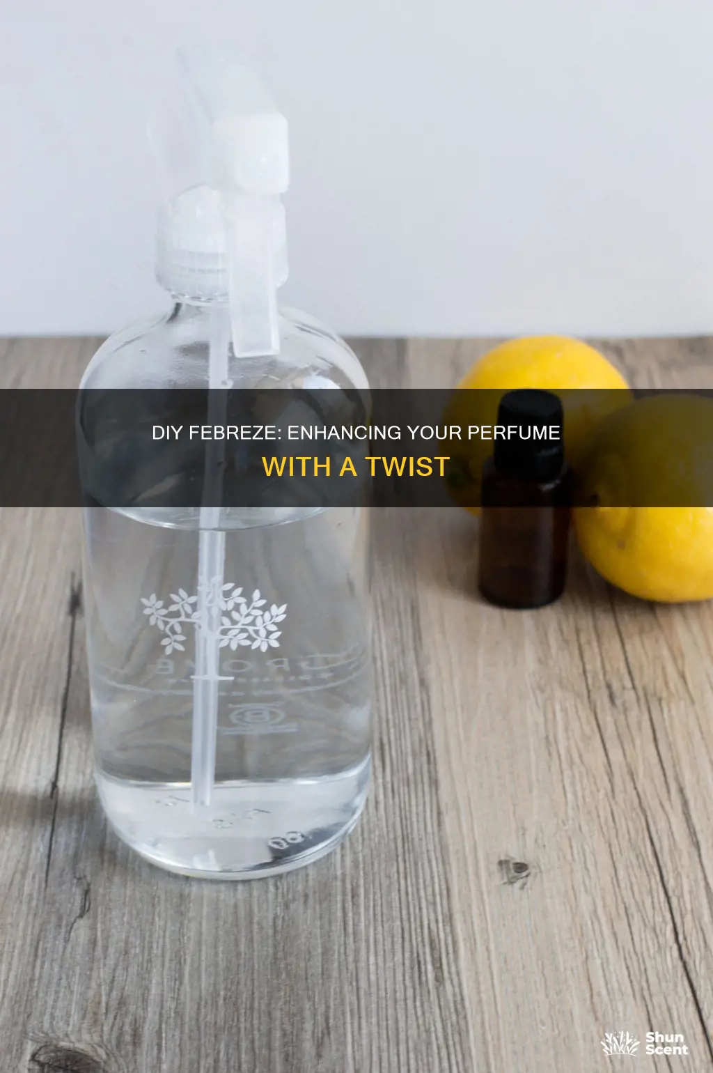 what to mix with perfume to make febreeze