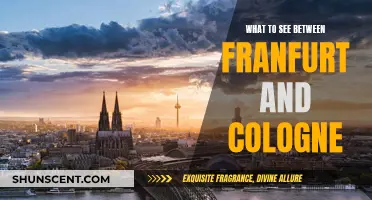 Exploring Germany: Frankfurt to Cologne Road Trip