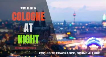 Exploring Cologne's Nightlife: What to See After Dark