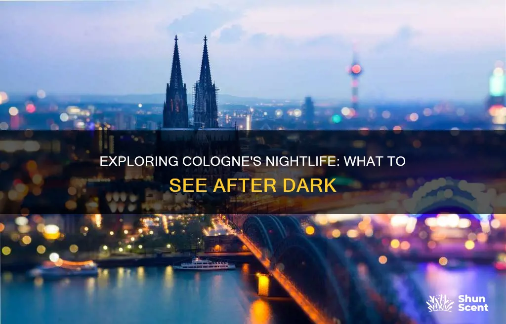 what to see in cologne at night