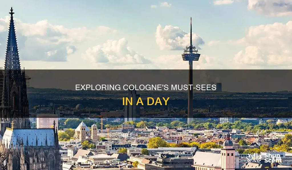 what to see in cologne in 1 day