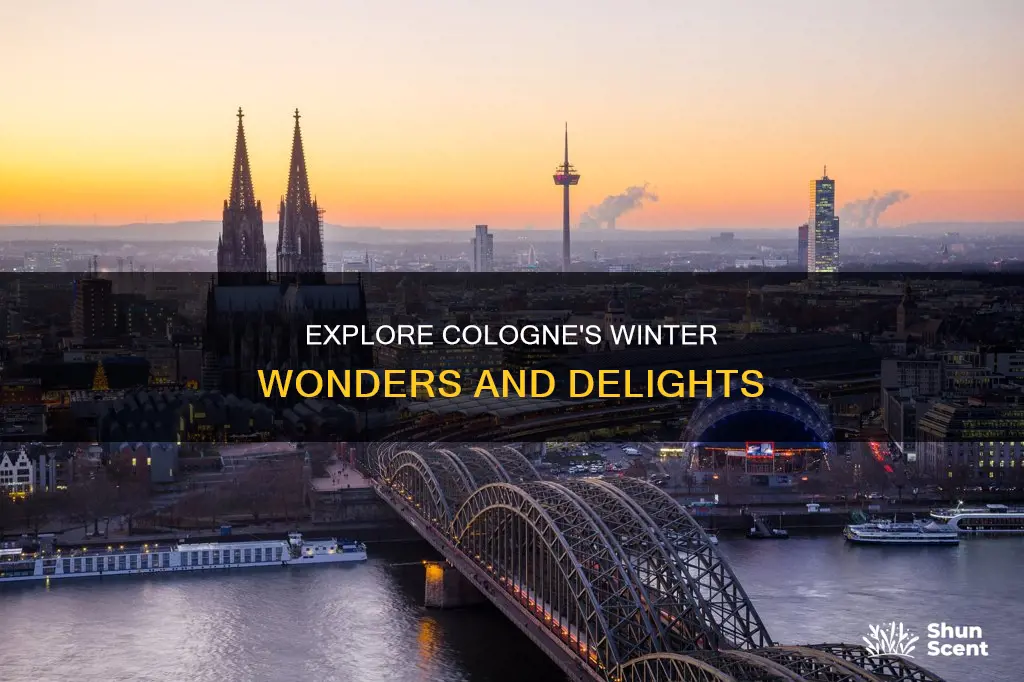 what to see in cologne in winter