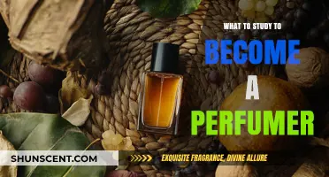 Mastering the Art of Scent: Essential Studies for Aspiring Perfumers