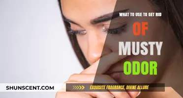Freshen Up: Effective Solutions to Eliminate Musty Odors