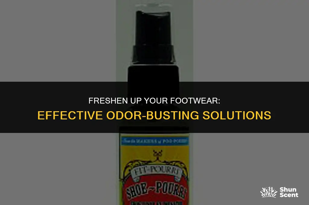 what to use to get rid of odor in shoes
