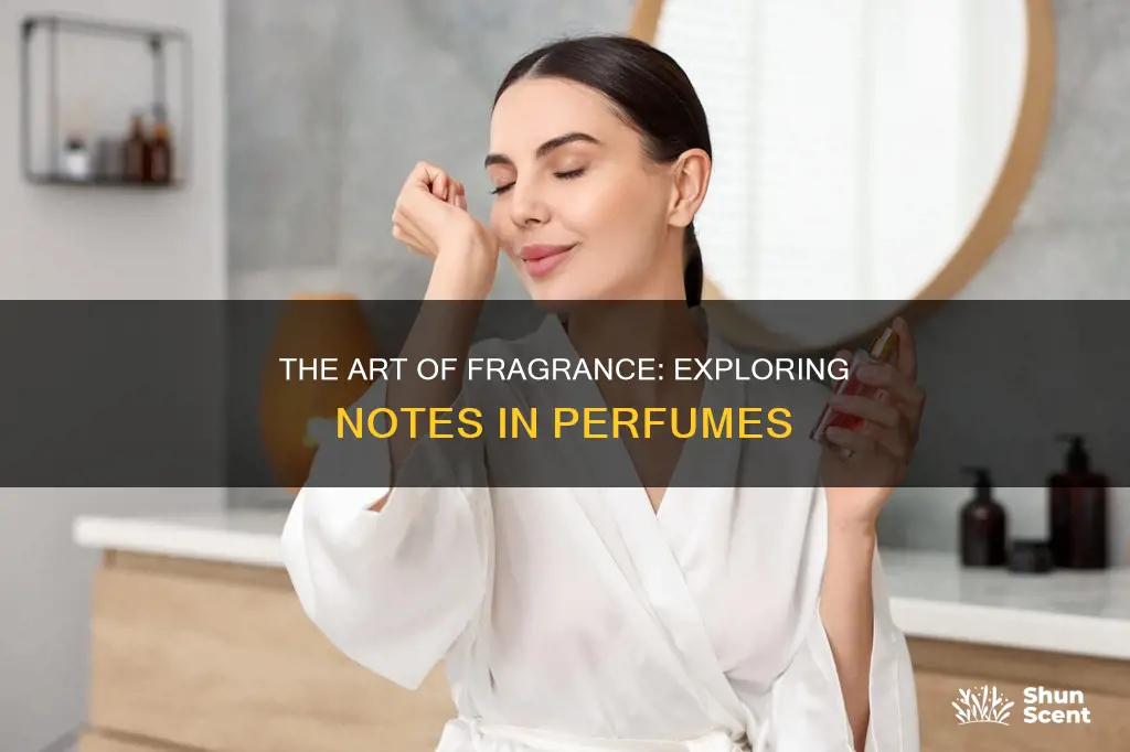 what top middle and bottom notes added in fragrance