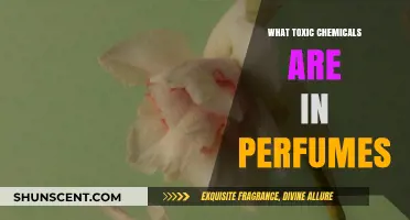 Unveiling Hidden Dangers: Toxic Chemicals Lurking in Your Perfumes