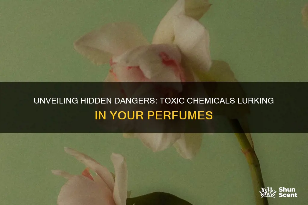 what toxic chemicals are in perfumes