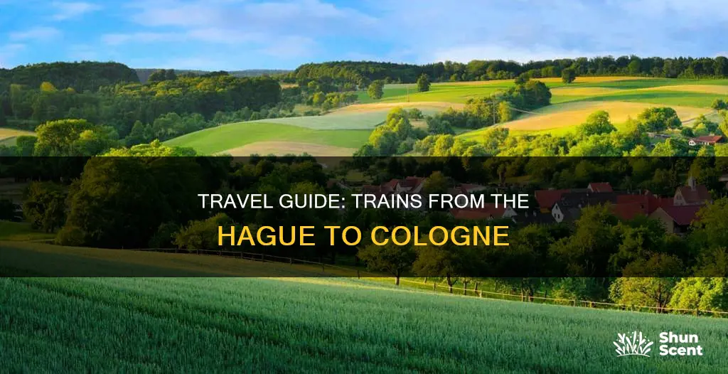 what train goes from hauge to cologne