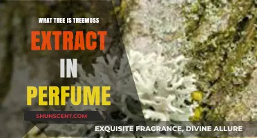 Unveiling Treemoss Extract: The Tree Behind Your Favorite Perfume