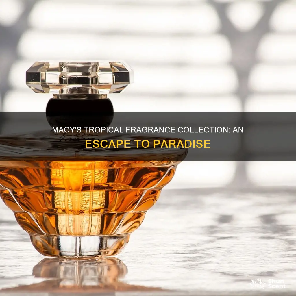 what tropical fragrances were carried by macy