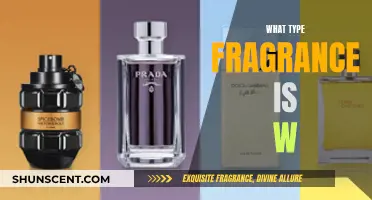 The Alluring World of Woody Fragrances