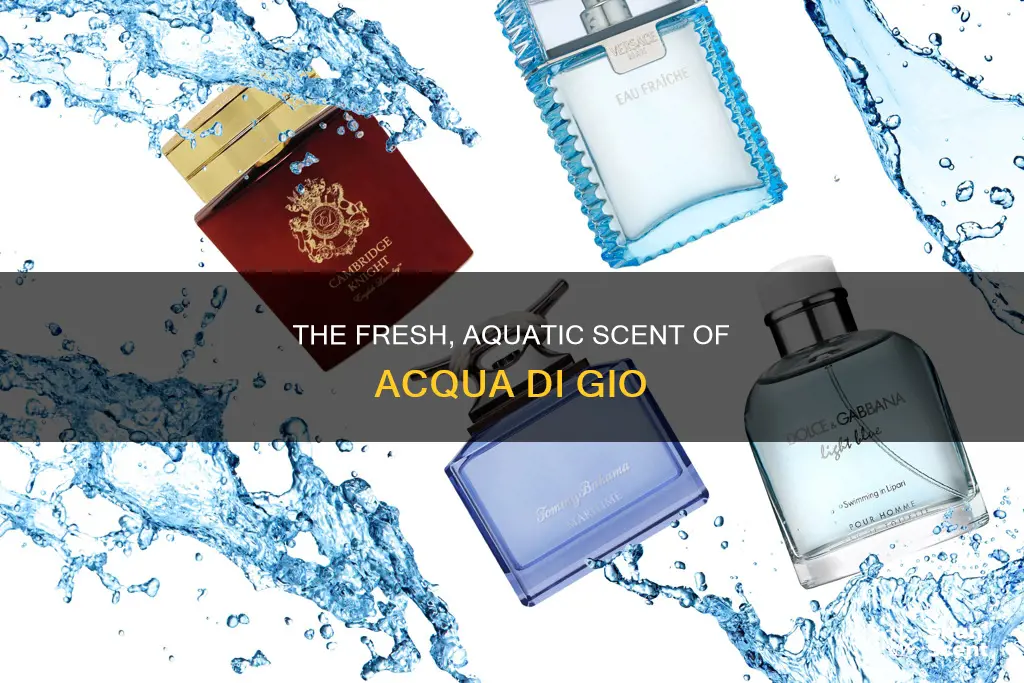 what type of cologne is acqua di gio