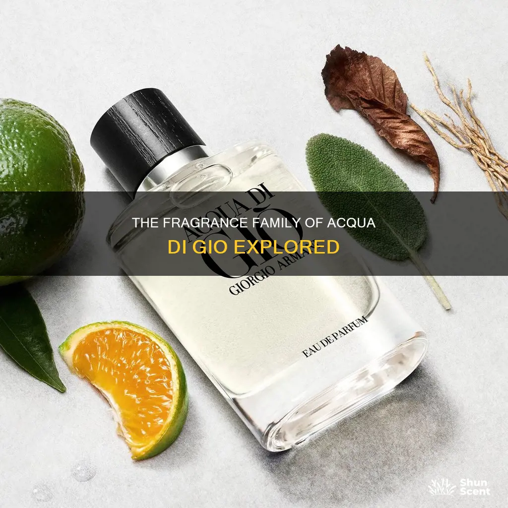 what type of fragrance is acqua di gio