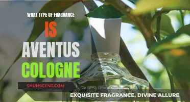 The Aventus Cologne: A Woody Fragrance for Men