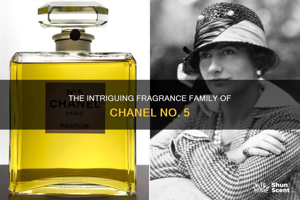 what type of fragrance is chanel no 5
