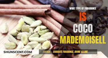 The Allure of Coco Mademoiselle: A Fragrance Exploration