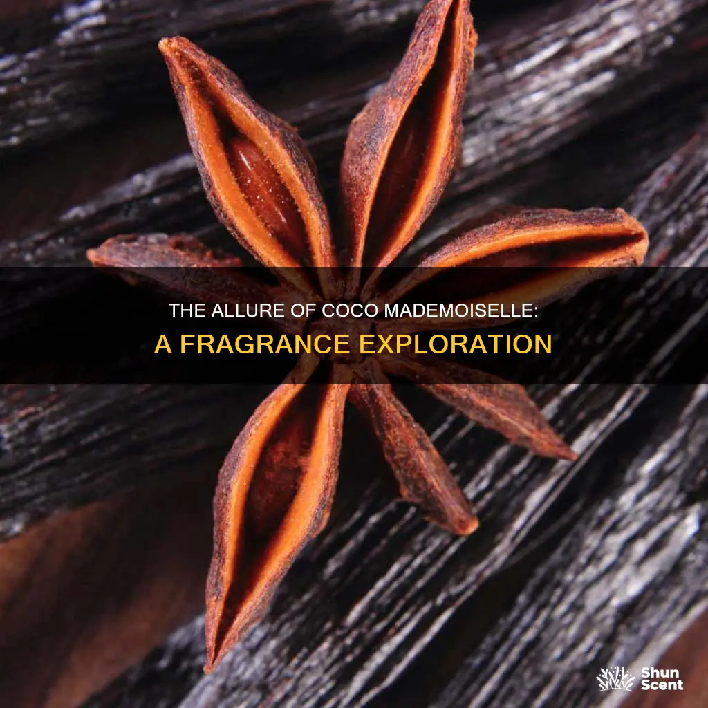 what type of fragrance is coco mademoiselle
