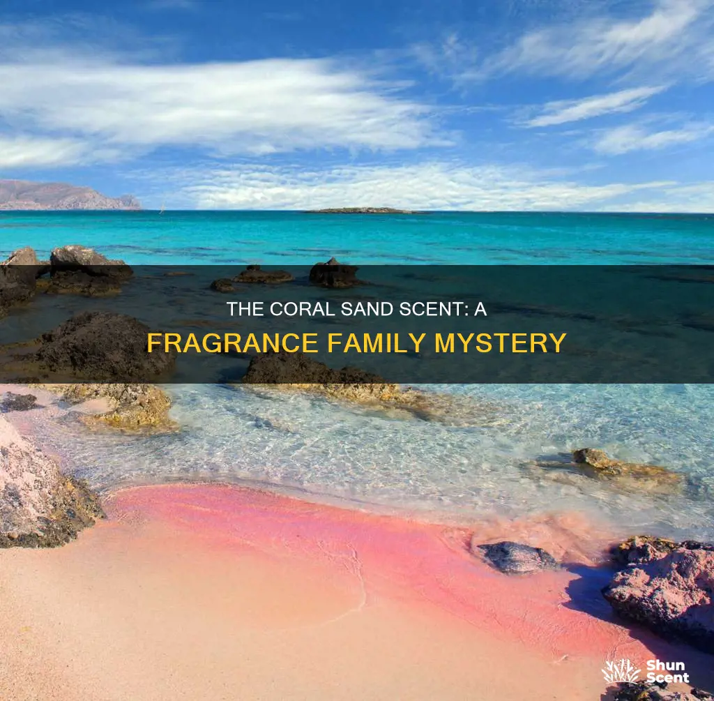 what type of fragrance is coral sand