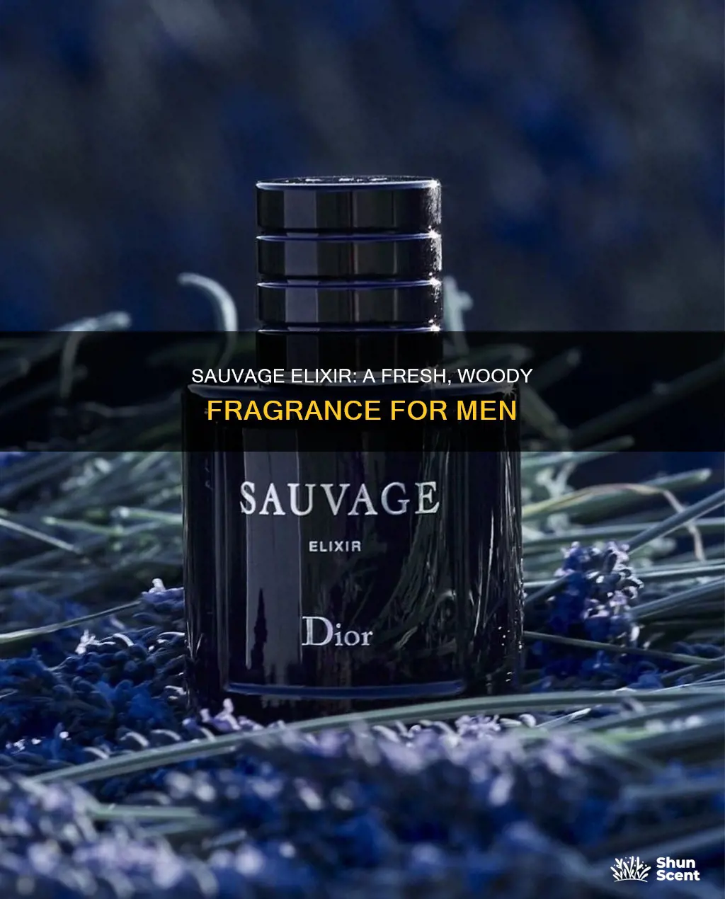 what type of fragrance is dior sauvage elixir