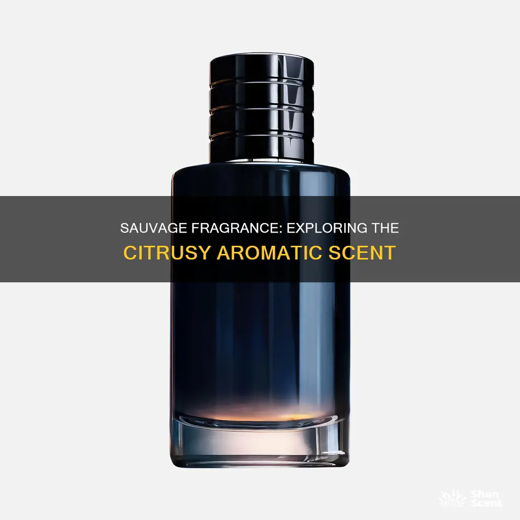 what type of fragrance is sauvage