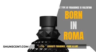 Valentino Born in Roma: A Fragrance Exploration