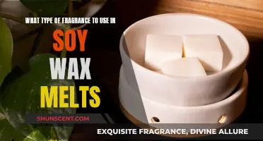Soy Wax Melts: Choosing the Right Fragrance for Your Home