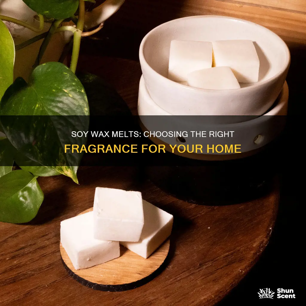 what type of fragrance to use in soy wax melts