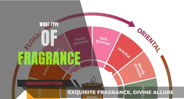 The Fragrance Notes: Choosing Your Signature Scent